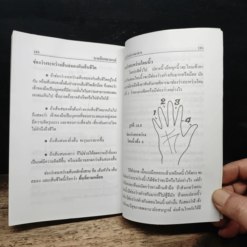 ลายมือพยากรณ์ - ญาณทิพย์ รูปที่ 9