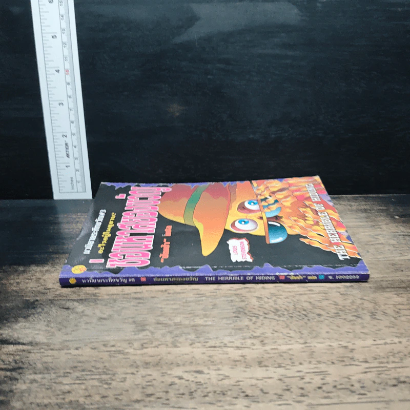 นวนิยายระทึกขวัญ เล่ม 3 อะไรอยู่ในสุสาน?ซ่อนหาสยองขวัญ - ปักเป้า รูปที่ 3