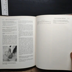 Textbook of Dermatology Vol.2 รูปที่ 11