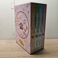 Boxset มิดไนต์ซินเดอเรลล่า 4 เล่มจบ - ป่านลี่จือ รูปที่ 2