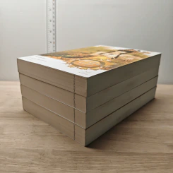Boxset นิยายแจ่มใส ชุด ตำหนักรักนิรันดร์ 4 เล่มจบ รูปที่ 4