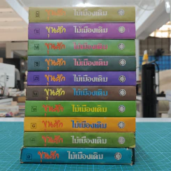 ขุนศึก 10 เล่มจบ - ไม้ เมืองเดิม, สุมทุม บุญเกื้อ รูปที่ 2