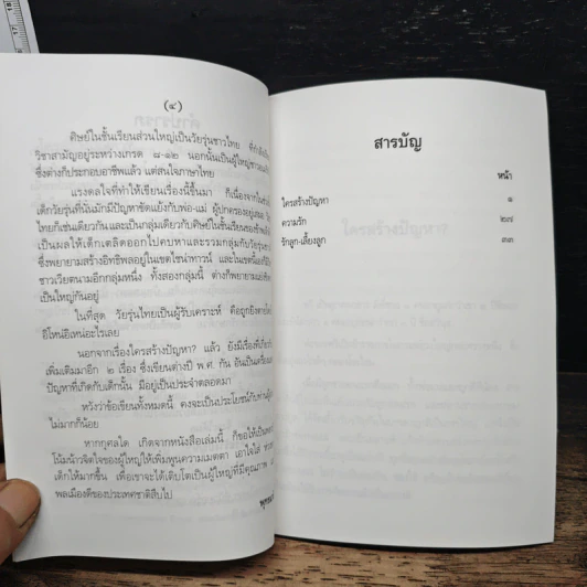 ใครสร้างปัญหา? - พุทธมามิกา รูปที่ 7
