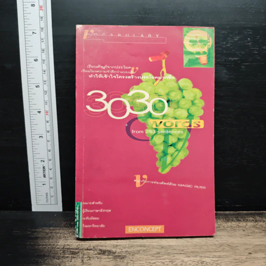 3030 WORDS from 253 sentences รูปที่ 1