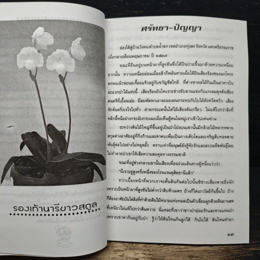 ศรัทรา-ปัญญา รูปที่ 8
