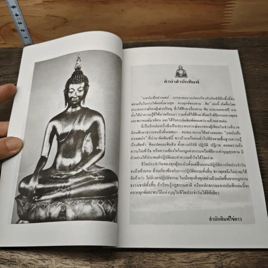 บันทึกคำเทศน์-บรรยายแนวแปลก - พญาจาริยวิพูโยคะ รัตนรังษี รูปที่ 8