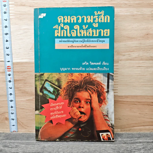 คุมความรู้สึกฝึกใจให้สบาย The Language of Feelings - เดวิด วิสคอตต์ รูปที่ 1