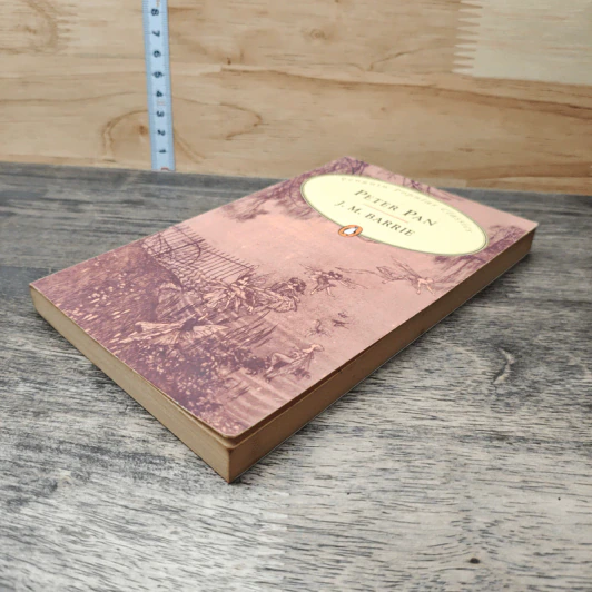 Peter Pan - J.M. Barrie รูปที่ 3