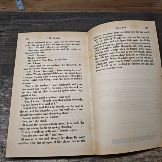 Peter Pan - J.M. Barrie รูปที่ 8