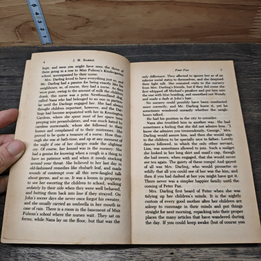 Peter Pan - J.M. Barrie รูปที่ 7