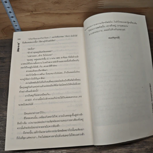 Kill-in-D บริษัทรับจ้างฆ่าไม่จำกัด (เพื่อมหาชน) 2 เล่มจบ - มิริน รูปที่ 8