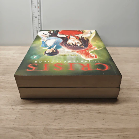 Crisis วิกฤตการณ์ป่วนข้ามมิติ เล่ม 1-2 - ToRi รูปที่ 5