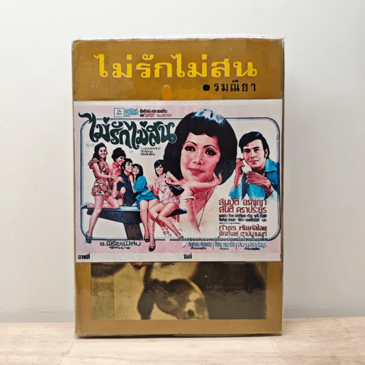 ไม่รักไม่สน - รมณียา รูปที่ 1