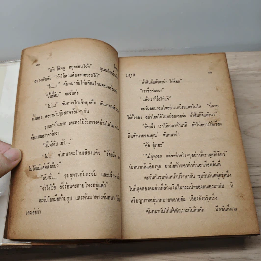 ไก่นา เงาจันทร์ - มธุรส รูปที่ 8