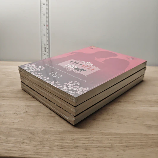Boxset นิยายชุด Lie 3 เล่มจบ - มิรา รูปที่ 4