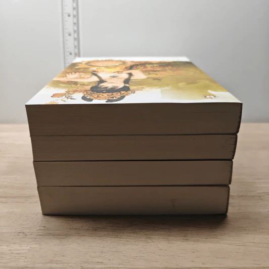 Boxset นิยายแจ่มใส ชุด ตำหนักรักนิรันดร์ 4 เล่มจบ รูปที่ 5