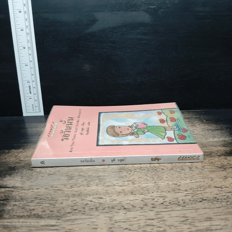 รอวันนั้น - จูดี บลูม รูปที่ 3