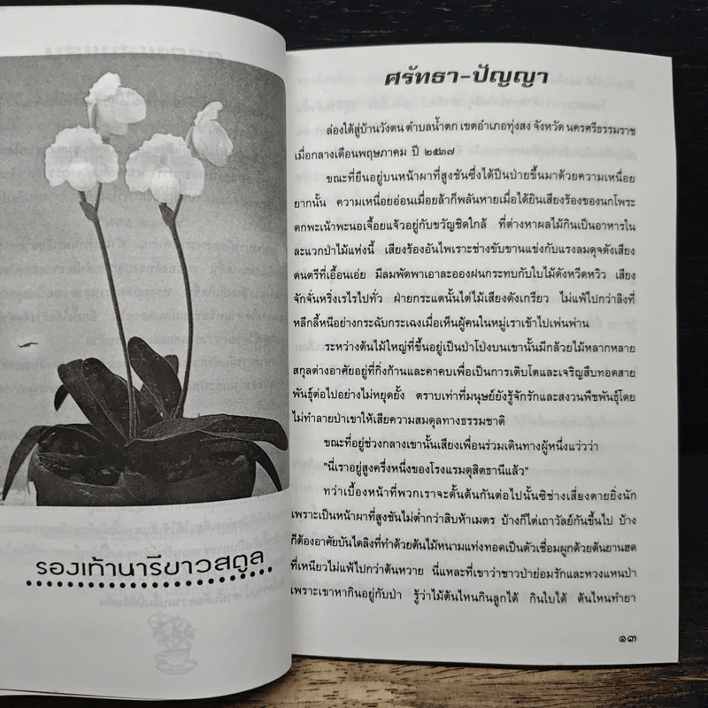 ศรัทรา-ปัญญา รูปที่ 8