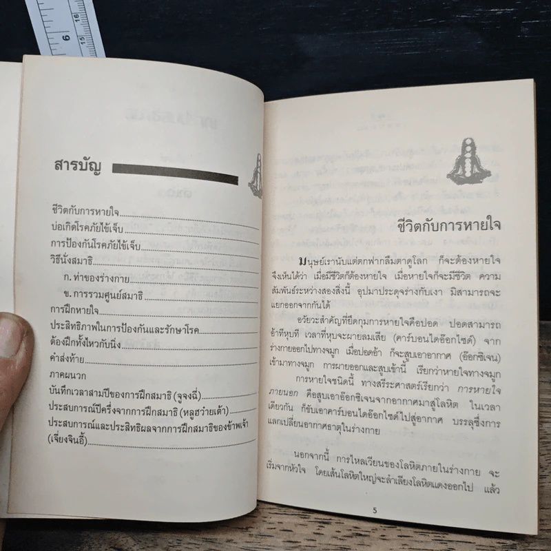 สมาธิลมปราณ ขนานแท้และดั้งเดิม - อิงซื่อจื่อ รูปที่ 6