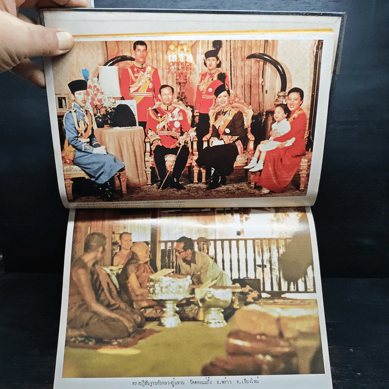 สมเด็จพระบรมราชชนกและสมเด็จพระบรมราชชนนี - ชาติ เอี่ยมกระสินธุ์ รูปที่ 10