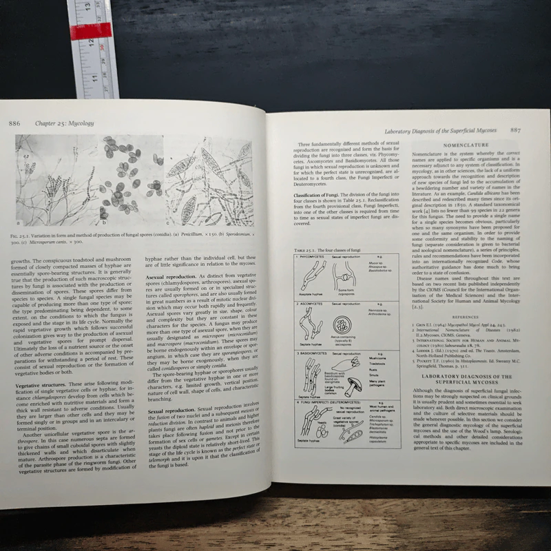 Textbook of Dermatology Vol.2 รูปที่ 10