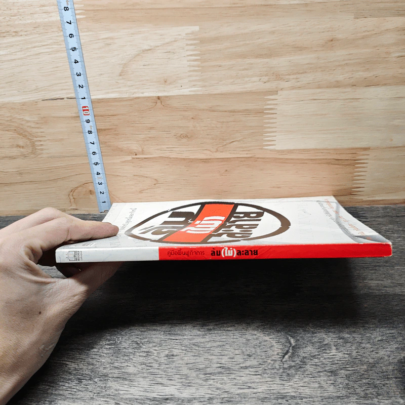 ล้ม (ไม่) ละลาย : คู่มือฟื้นฟูกิจการ คู่มือสำหรับลูกหนี้และเจ้าหนี้ รูปที่ 2