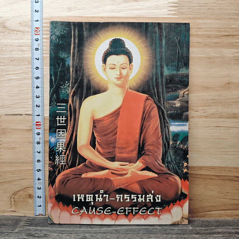 เหตุนำ-กรรมส่ง CAUSE-EFFECT รูปที่ 1