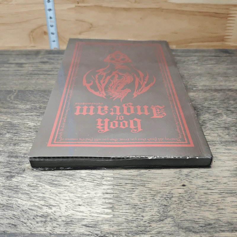 Book of Ingram บันทึกมังกรพิทักษ์ - Finch รูปที่ 4
