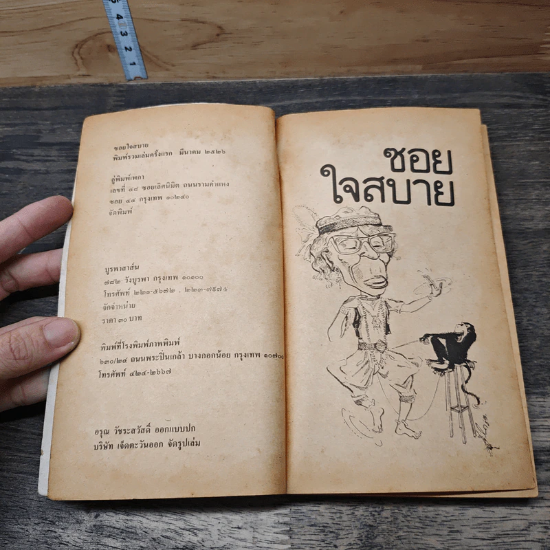 ซอยใจสบาย - วาณิช จรุงกิจอนันต์ รูปที่ 6