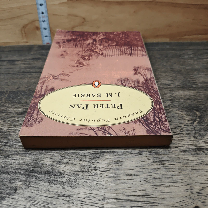 Peter Pan - J.M. Barrie รูปที่ 4
