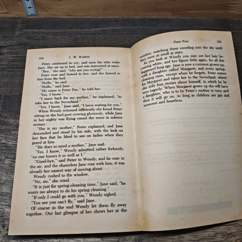 Peter Pan - J.M. Barrie รูปที่ 8