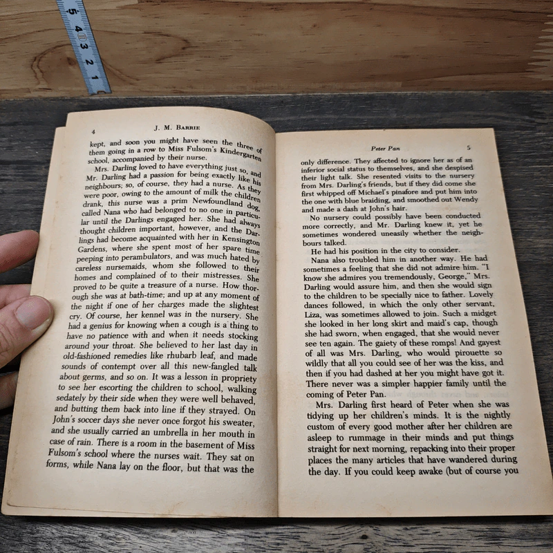 Peter Pan - J.M. Barrie รูปที่ 7