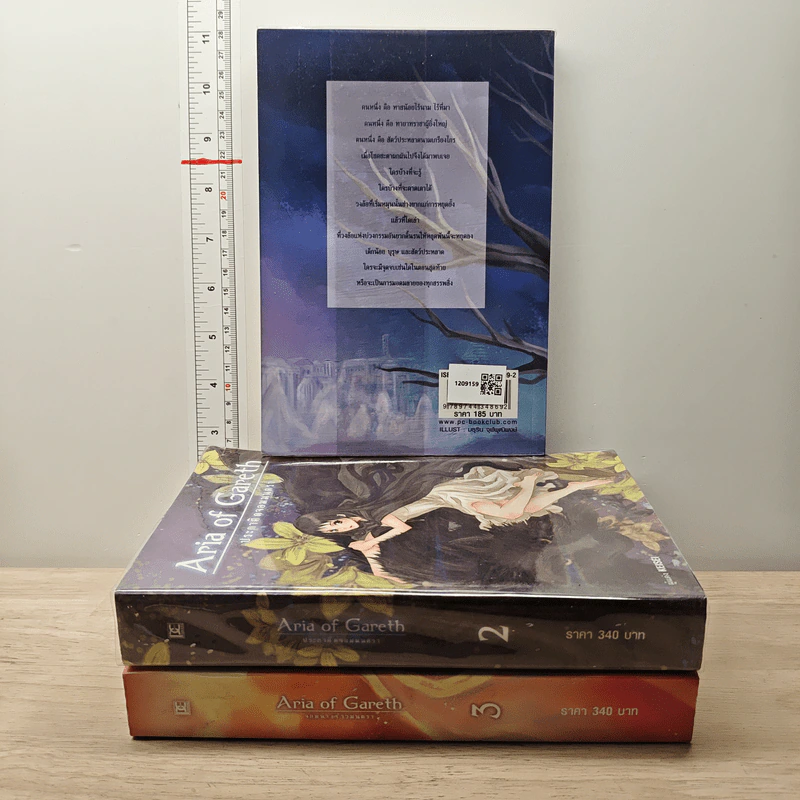 Aria Of Gareth จอมนางจ้าวมนตรา เล่ม 1-3 - Keisei รูปที่ 2