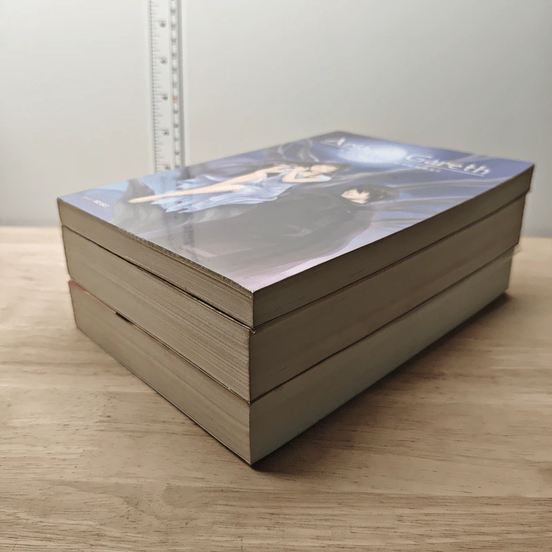 Aria Of Gareth จอมนางจ้าวมนตรา เล่ม 1-3 - Keisei รูปที่ 4