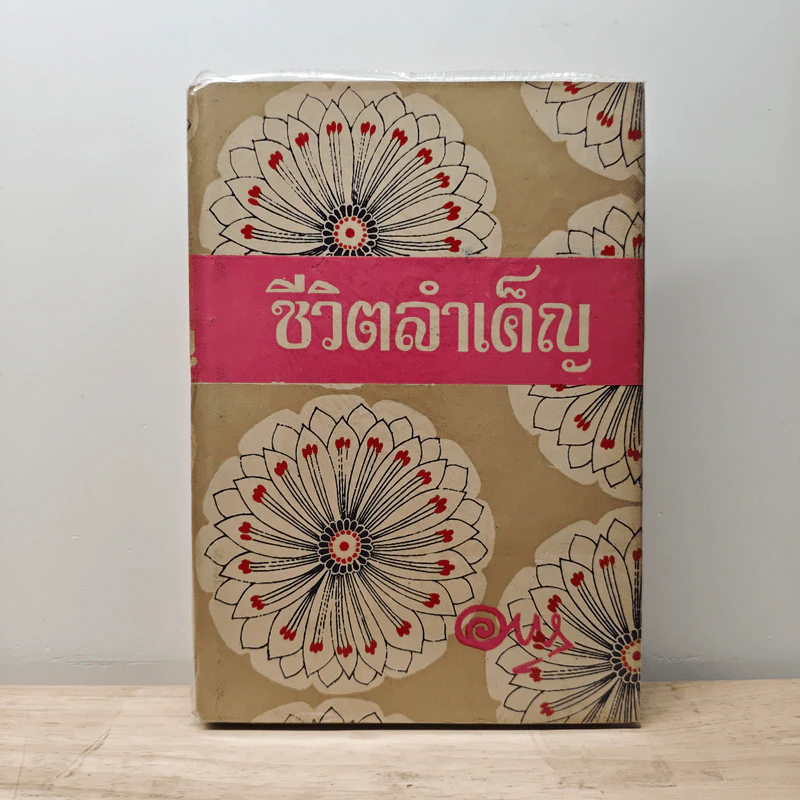 ชีวิตลำเค็ญ - อาษา รูปที่ 1