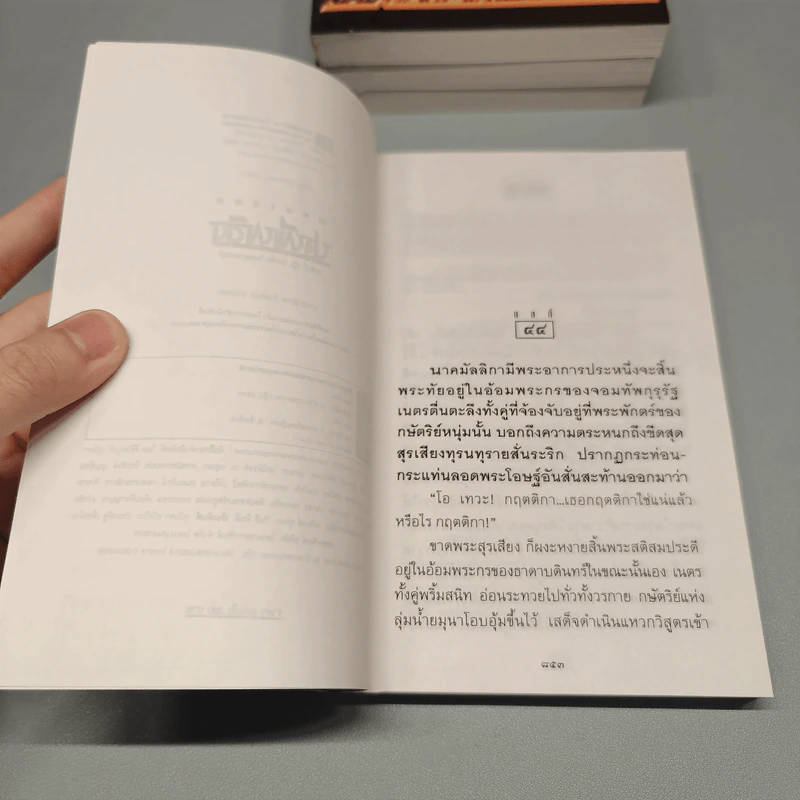 Boxset ปฐพีเพลิง 4 เล่มจบ - พนมเทียน รูปที่ 11