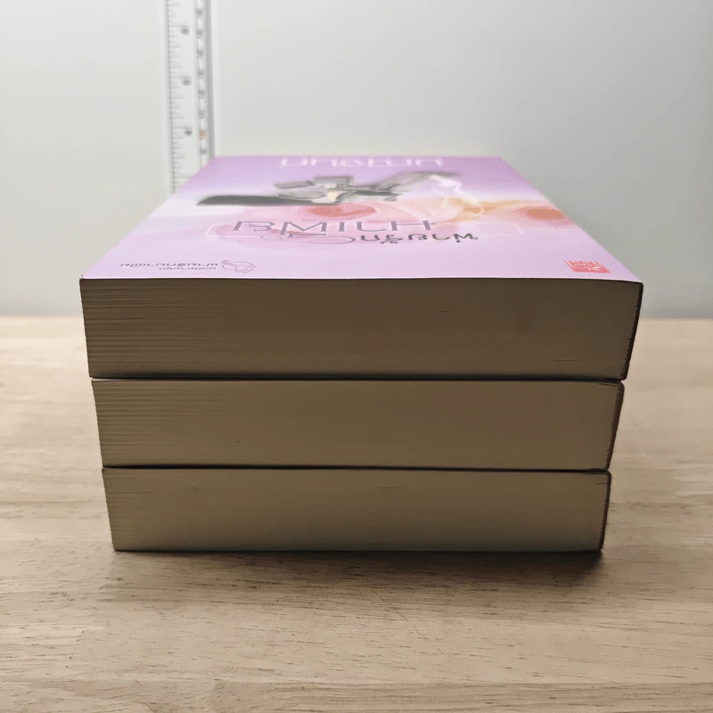 Boxset นวนิยายชุด พ่ายรักมาเฟีย 3 เล่มจบ - มณีจันท์ รูปที่ 5
