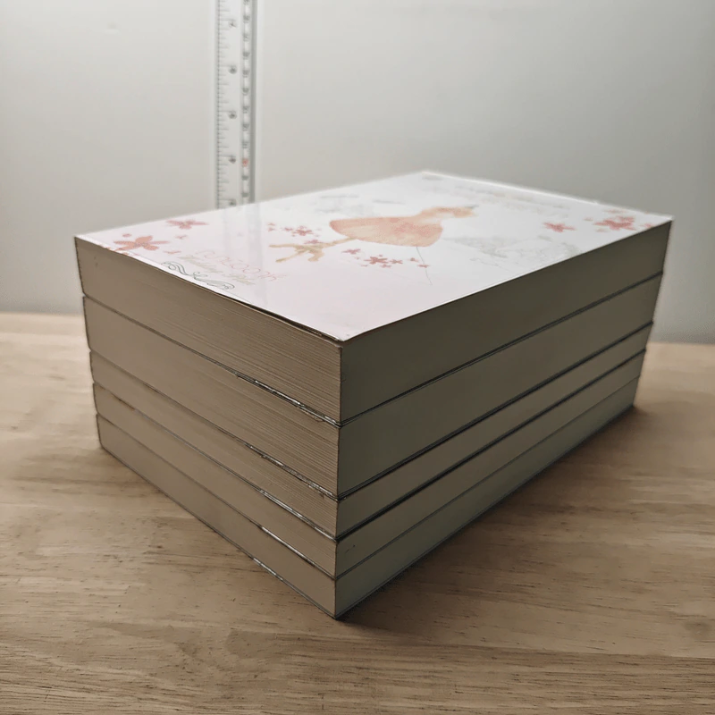 Boxset นิยายแจ่มใส Wedding Plan แผนรักไม่จำกัดหัวใจ 5 เล่มจบ รูปที่ 4