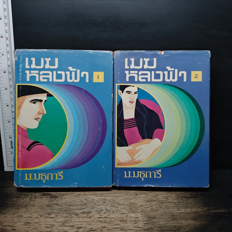 เมฆหลงฟ้า 2 เล่มจบ - ม.มธุการี รูปที่ 1