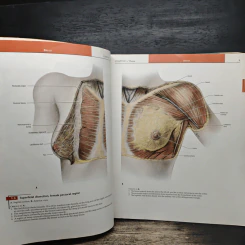 Grant's Atlas of Anatomy รูปที่ 12