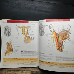 Grant's Atlas of Anatomy รูปที่ 13