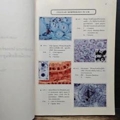 Histology 1: The Cell and Basic Tissues รูปที่ 8