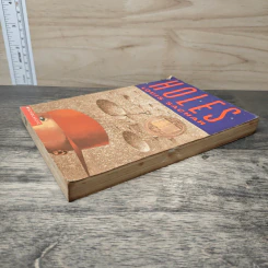 Holes - Louis Sachar รูปที่ 3