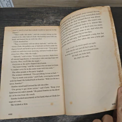 Holes - Louis Sachar รูปที่ 8