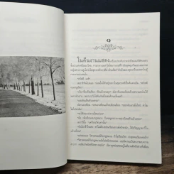 ไม้นอกกอ - ช่อมณี รูปที่ 7