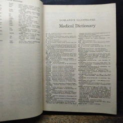 Dorland's Illustrated Medical Dictionary รูปที่ 11