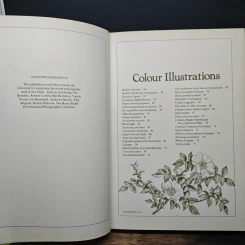 Shrubs & Small Trees - Geoffrey Smith รูปที่ 7