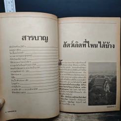 ทดลองตาย รูปที่ 7