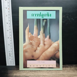 การปลูกขิง - คำนึง คำอุดม รูปที่ 1