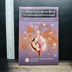 การศึกษาวิเคราะห์ปาณาติปาตาในเซลล์มนุษย์และตัวอ่อนมนุษย์ - นายแพทย์ปุณวัสส์ กิตติมานนท์